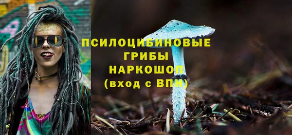 экстази Богданович