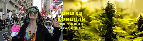 ПСИЛОЦИБИНОВЫЕ ГРИБЫ Богородицк