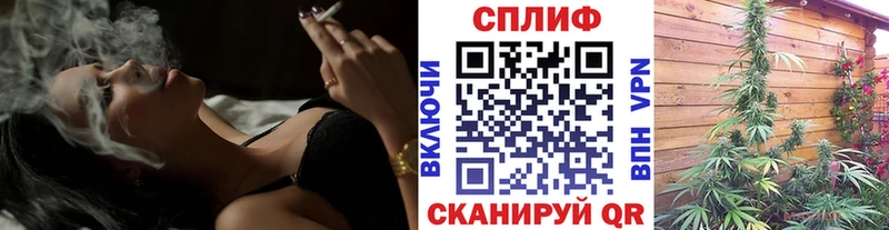 Канабис гибрид  Кимовск 